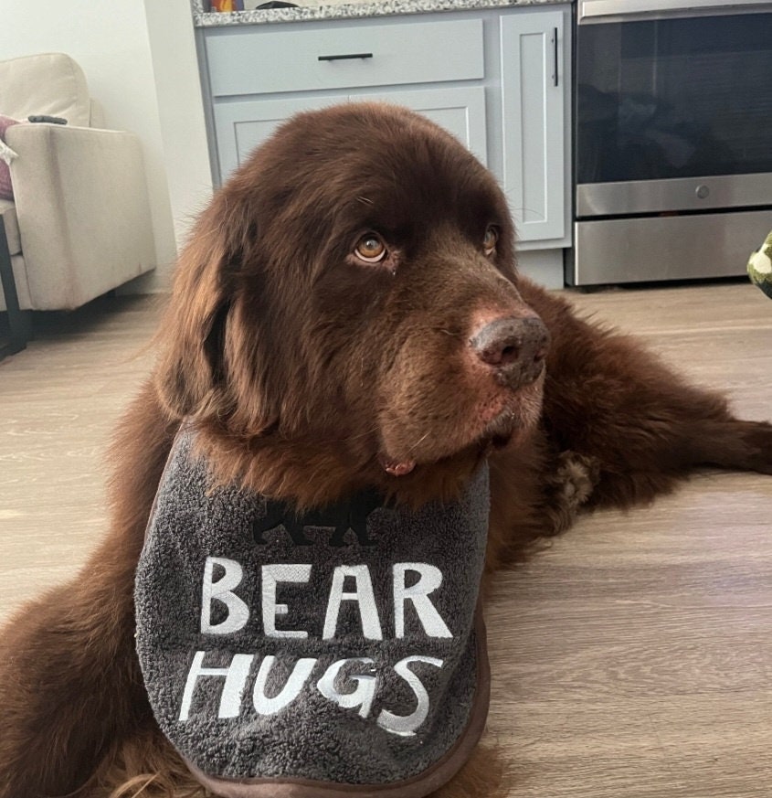 Large Breed Dog Bib: Absorbent Terry Towel, Newfoundland, St Bernard