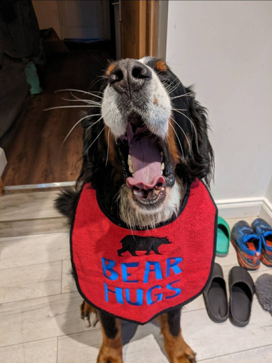 Large Breed Dog Bib: Absorbent Terry Towel, Newfoundland, St Bernard