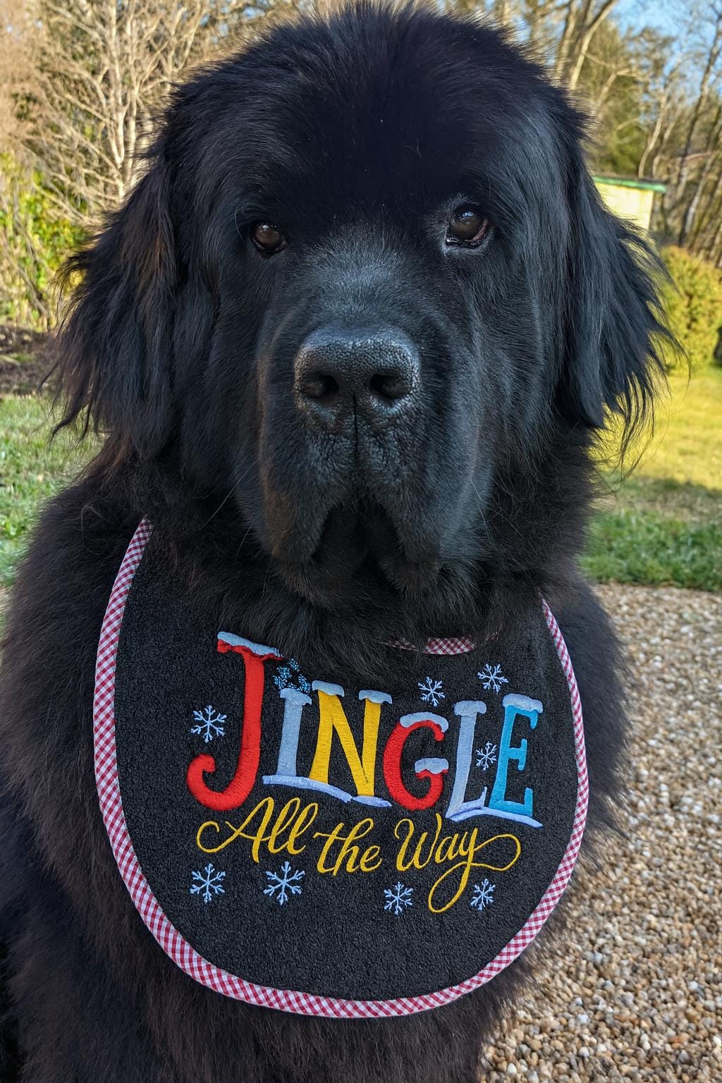 Christmas Dog Bib: Large Breed Terry Towel Drool Bib