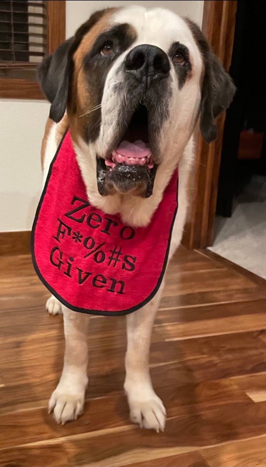 Large Breed Dog Bib: Absorbent Terry Towel, Newfoundland, Custom Name