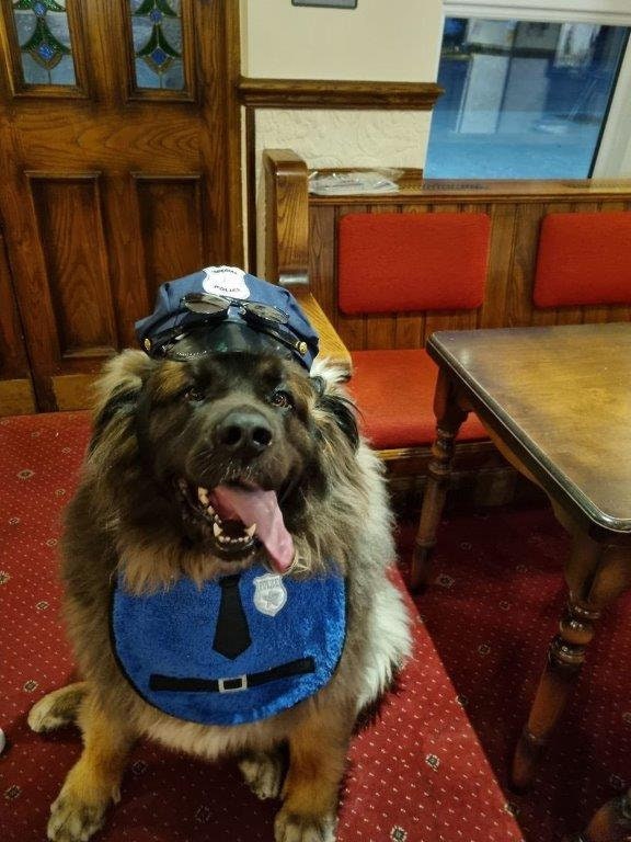 Large Breed Dog Bib: Absorbent Terry Towel, Police Dog Design