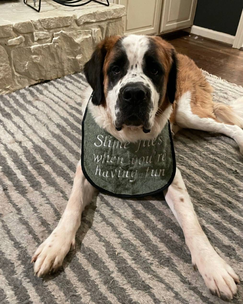 Large Breed Dog Bib: Absorbent Terry Towel, Newfoundland, St Bernard