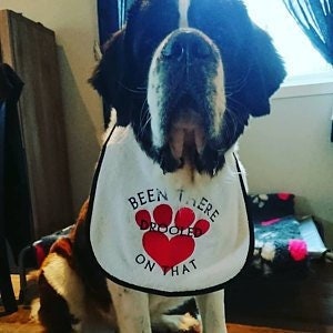 Large Breed Dog Bib: "Been There Drooled On That" Terry Towel