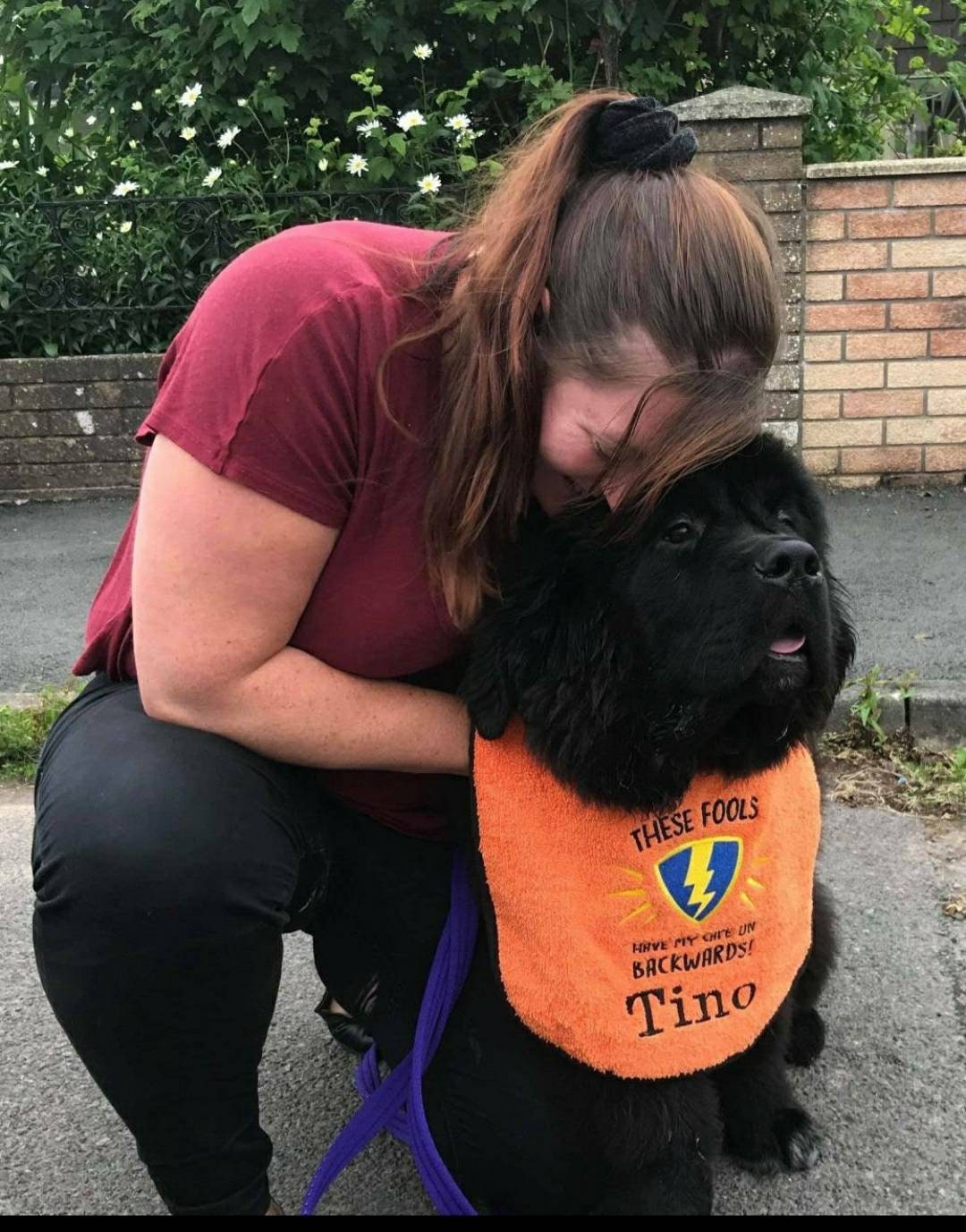 Large Breed Dog Bib: Absorbent Terry Towel, Newfoundland, St Bernard