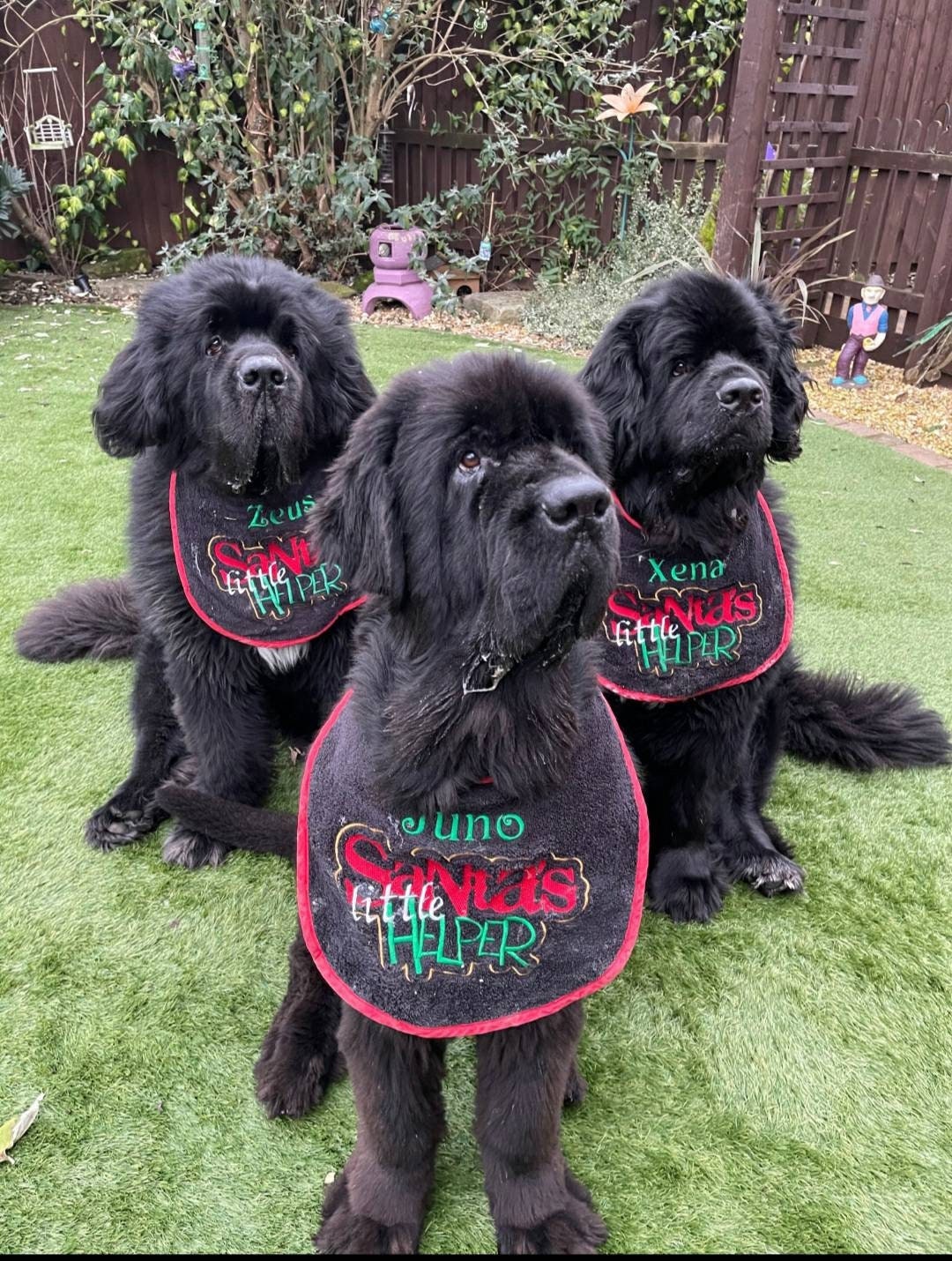 Large Breed Dog Bib: Absorbent Terry Towel Slobber Bib