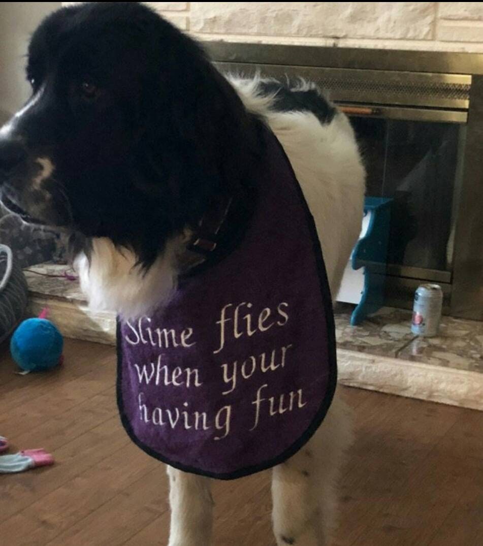 Large Breed Dog Bib: Absorbent Terry Towel, Newfoundland, St Bernard