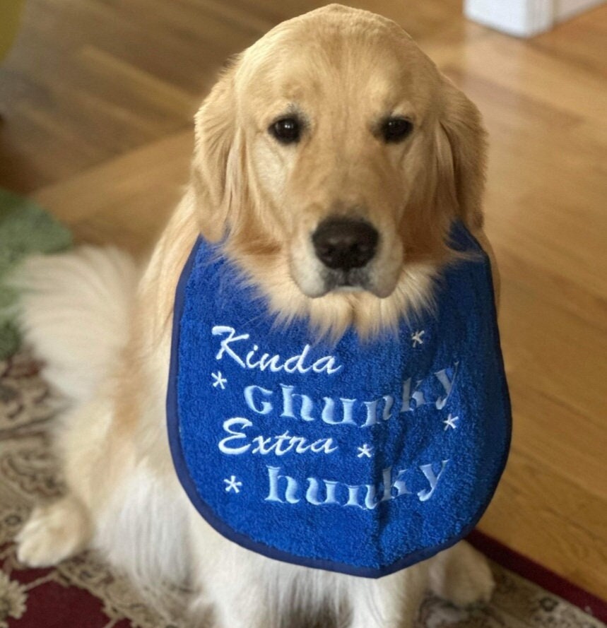 Large Breed Dog Bib: Absorbent Terry Towel, Newfoundland, St Bernard