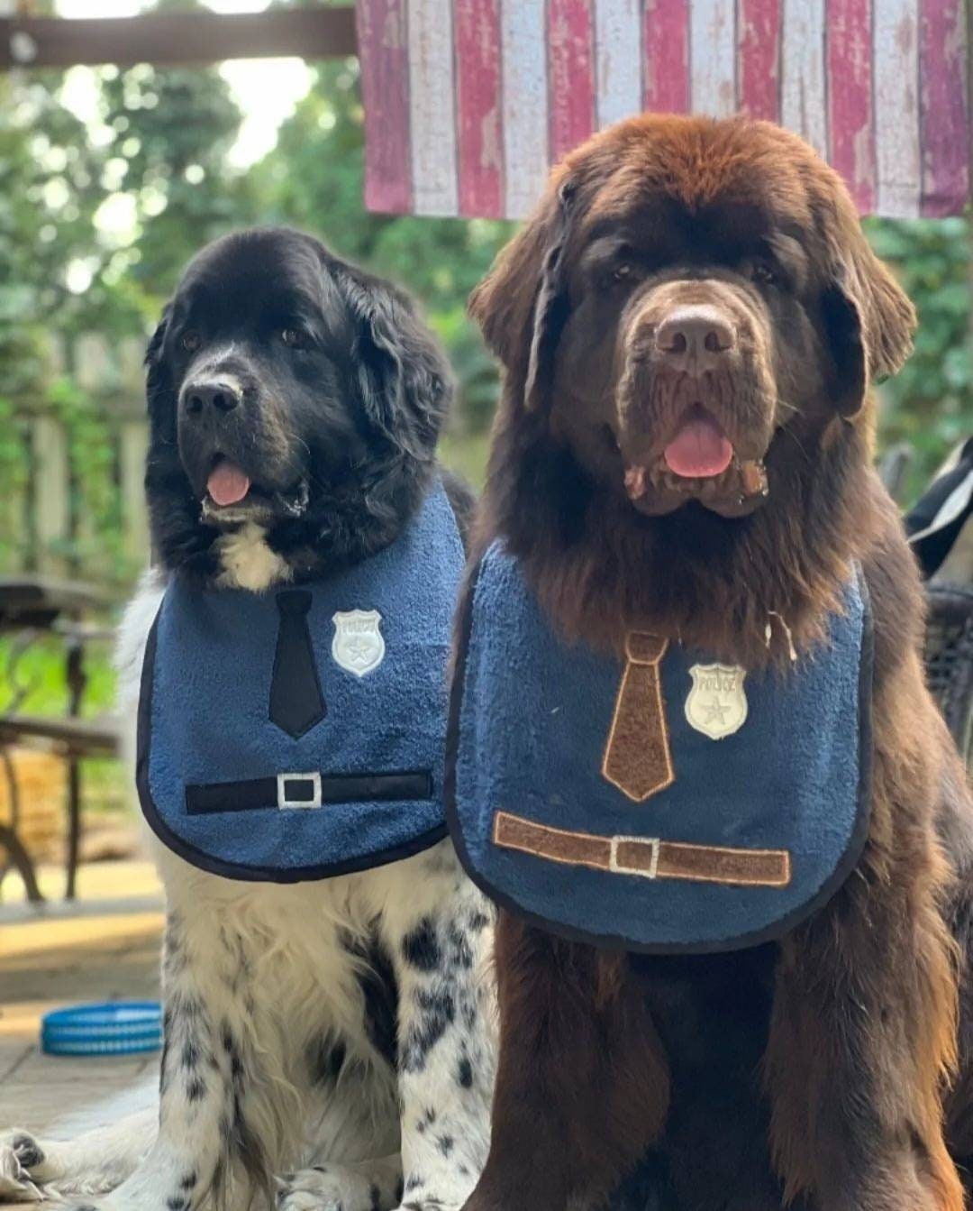 Large Breed Dog Bib: Absorbent Terry Towel, Police Dog Design