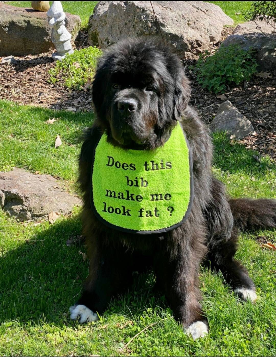 Large Breed Dog Bib: Absorbent Terry Towel, Newfoundland, St Bernard