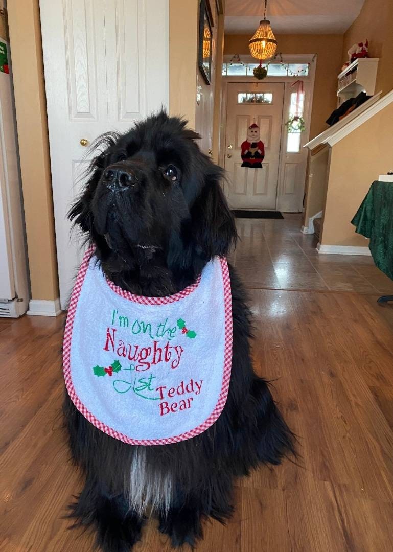 Large Breed Dog Bib: Absorbent Terry Towel, Newfoundland, St Bernard