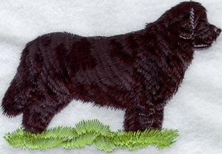 Embroidered Newfoundland Dog Hoodie: Unisex Adult Sweatshirt